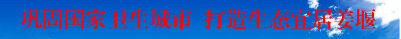 巩固国家卫生城市